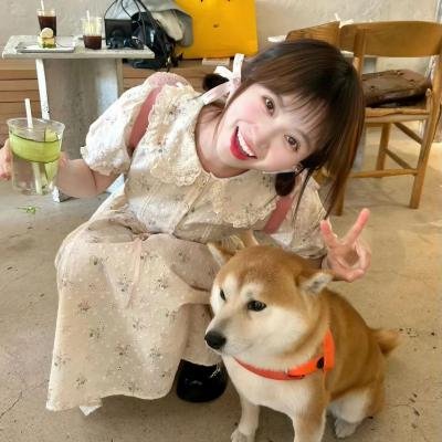 废墟中的爱情